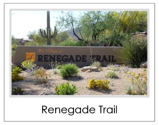 Renegade Trail Homes For Sale in Desert Mountain Scottsdale AZ